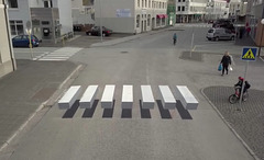 zebra illusion