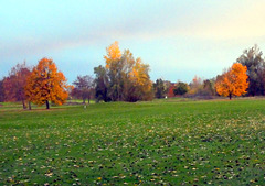 Herbstfarben - aber noch ist der Rasen im satten Grün.