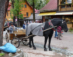 Zakopane- Waiting for Business on a Wet and Windy Day