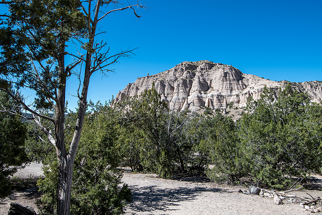 New Mexico slot canyon6