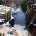 P1030021 High Force