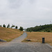 Bergpark, Dinslaken-Lohberg / 4.06.2020