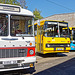 100 Jahre Stadtbus Chemnitz