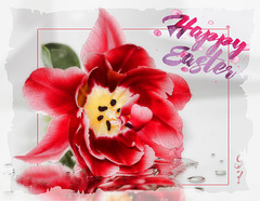 Happy Easter ~ Fröhliche Ostern ~ Joyeuses Pâques