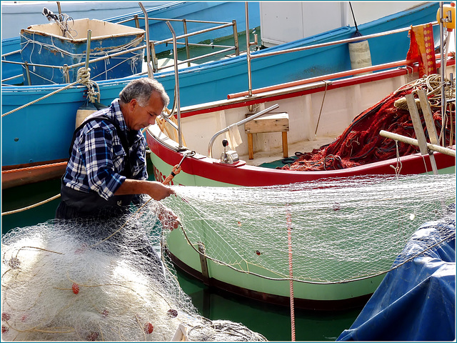 Genova : il pescatore pulisce e controlla con cura il suo tremaglio