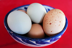 #43- Eggs, Penedos