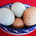 #43- Eggs, Penedos