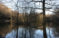 Dogkennel Pond