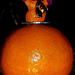 Clémentine abonné à Orange