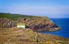 The  Turquoise Seagull Hut