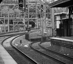Fences, Rails, Signals, Signs, Central Station, Sydney (HFF)