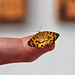 Kleiner Schmetterling auf meiner Fingerspitze (Pantherspanner - gelber Fleckenspanner)