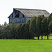 Day 2, an old barn near Rondeau PP, Ontario