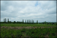 Staffordshire landscape