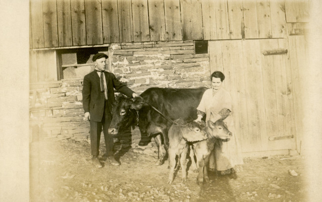Man and Woman with Cow and Calves