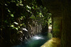 Mexico, Waterfall at the Western Access to the Cenotes of Hacienda Mucuyche