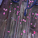 Petals on Porch