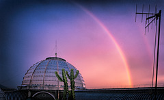 The Rainbow Experience | Archive photo 2014