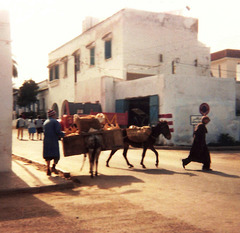 Le Maroc au travail (1986)