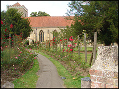 abbey rose walk