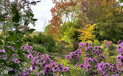 Le jardin d'eau de Claude Monet