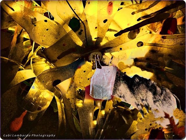 The 50 Images Project - Tea Bag - 47/50 - happy colours for my teabag