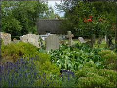 abbey graveyard