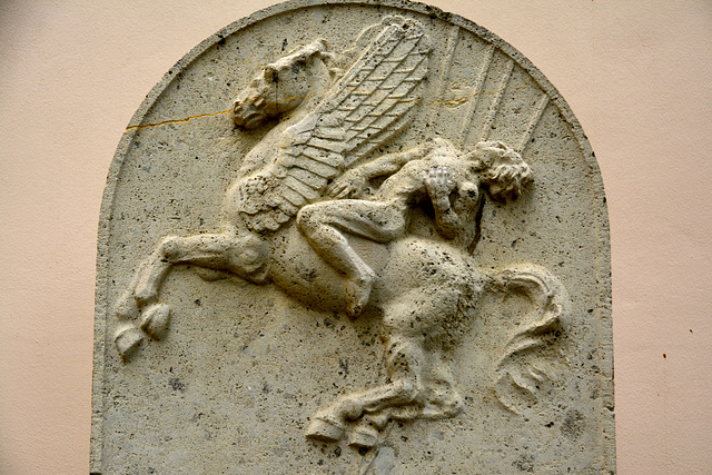 Leipzig 2015 – Fighter taken away on a Valkyrie horse