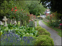 path through the churchyard