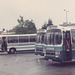 Norfolk Motor Services coaches at Thetford - 26 May 1984