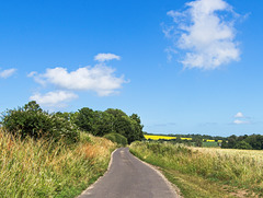 West Sussex Countryside (PiP)