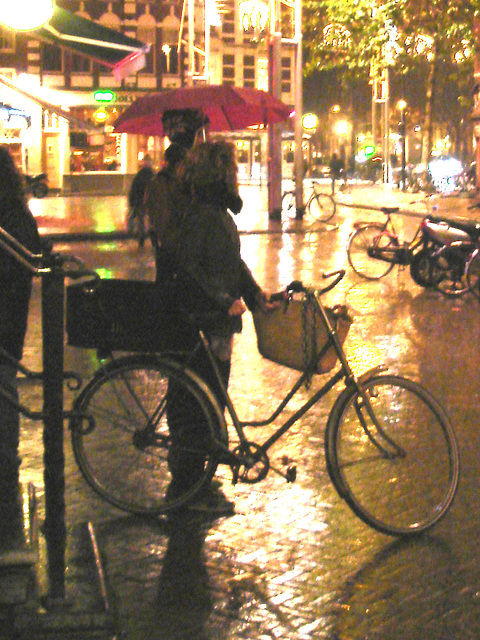 Bike and umbrella by the rainy evening