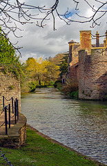 The Moat