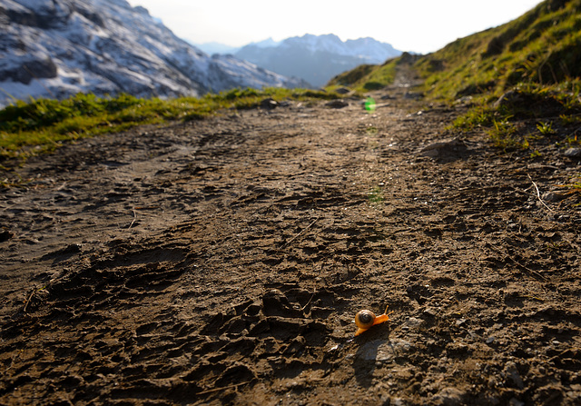 Via Alpina, Stage 8