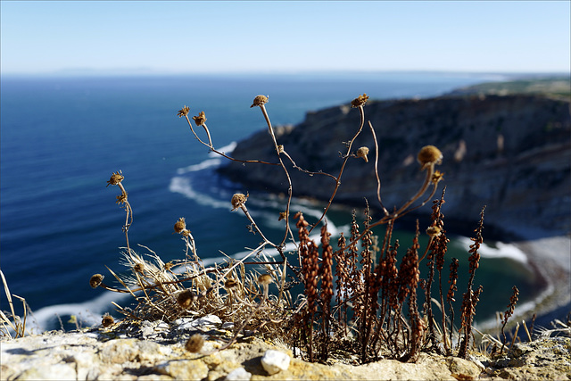 Cabo Espichel, poesia da terra sedenta