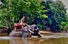 River Kwai. Elephant Bath. ©UdoSm