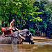 River Kwai. Elephant Bath. ©UdoSm