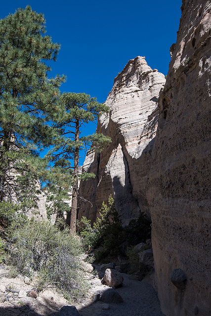 New Mexico slot canyon33