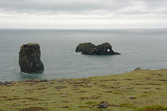 Iceland, Skerries off the Shore of the Dyrhólaey Cape