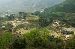 Neighborhood of the village Lao Chai & Tavan, Vietnam
