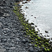 Azores, The Island of Pico, The Beach on the Volcanic Stones