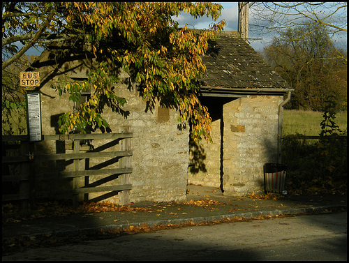 bus shelter in autumn