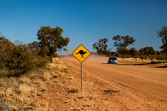 Encounters in the outback