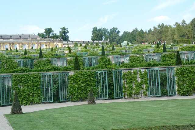 Jardines Palacio Sanssouci