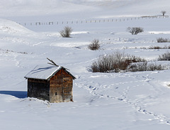 Country scene in winter