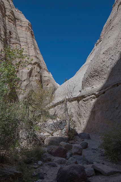 New Mexico slot canyon41