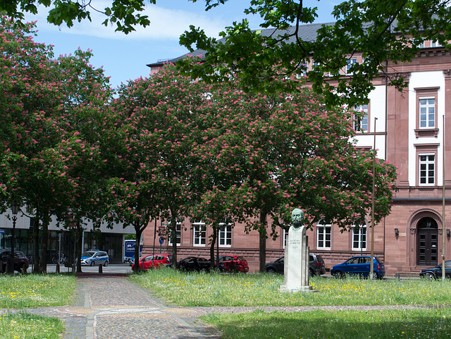 Darmstadt (#0186)