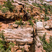 Zion NP - Canyon Overlook Trail - 1986