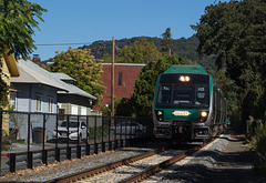Sonoma-Marin rail (#0007)