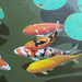 Colorful fish and lotus =Belaj fisxoj kaj lotuso =연못 속의 비단잉어(多色魚與蓮葉)_oil on canvas=유채_37.9X45.5cm(8f)_2015_Song Ho